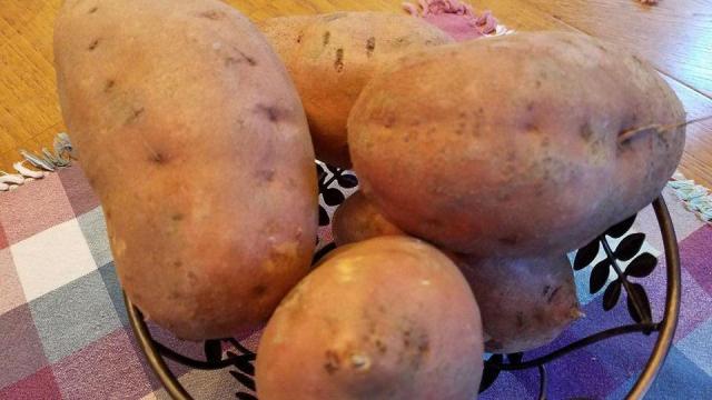 Sweet potatoes in bowl