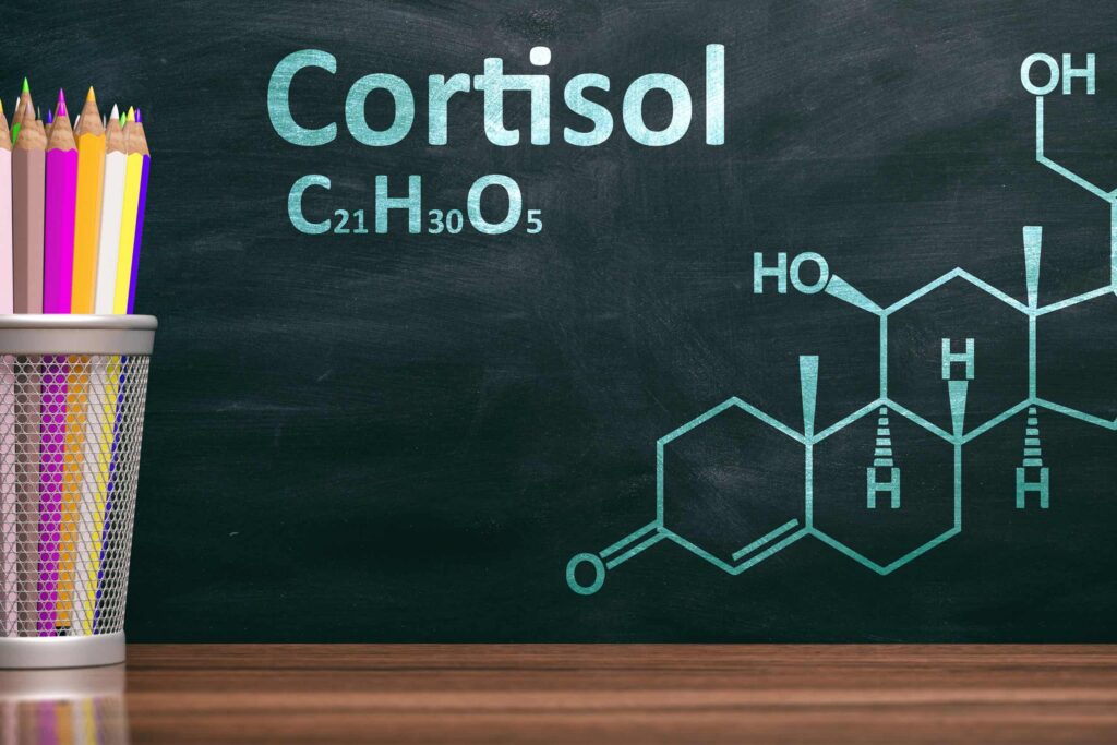 Cortisol