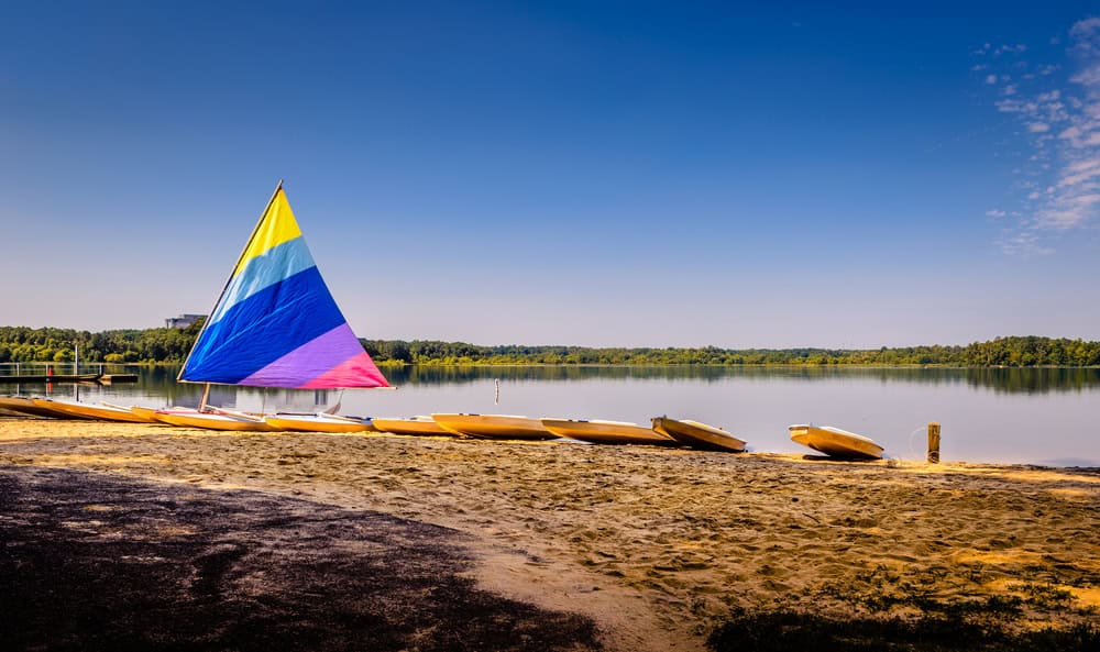 lake shore with boats