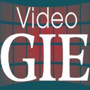 Video GIE Logo